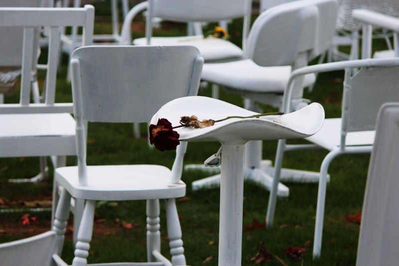 A photograph of a flower laid on a painted chair in the '185 Empty Chairs' memorial installation.